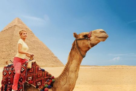 Horse / Camel ride around The Pyramids