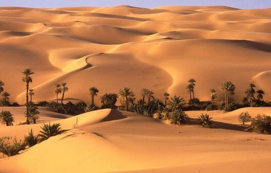 3 Days – 2 Nights: Bahariya Oasis, White Desert